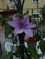 Decoratie