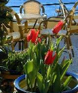 Terrace of the hotel